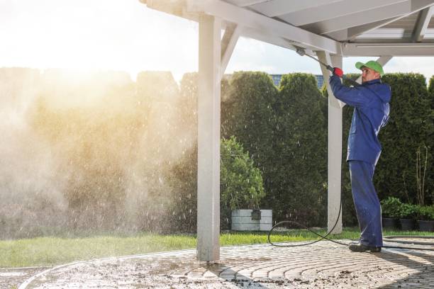 Best Sidewalk and Walkway Cleaning  in Center Hill, FL
